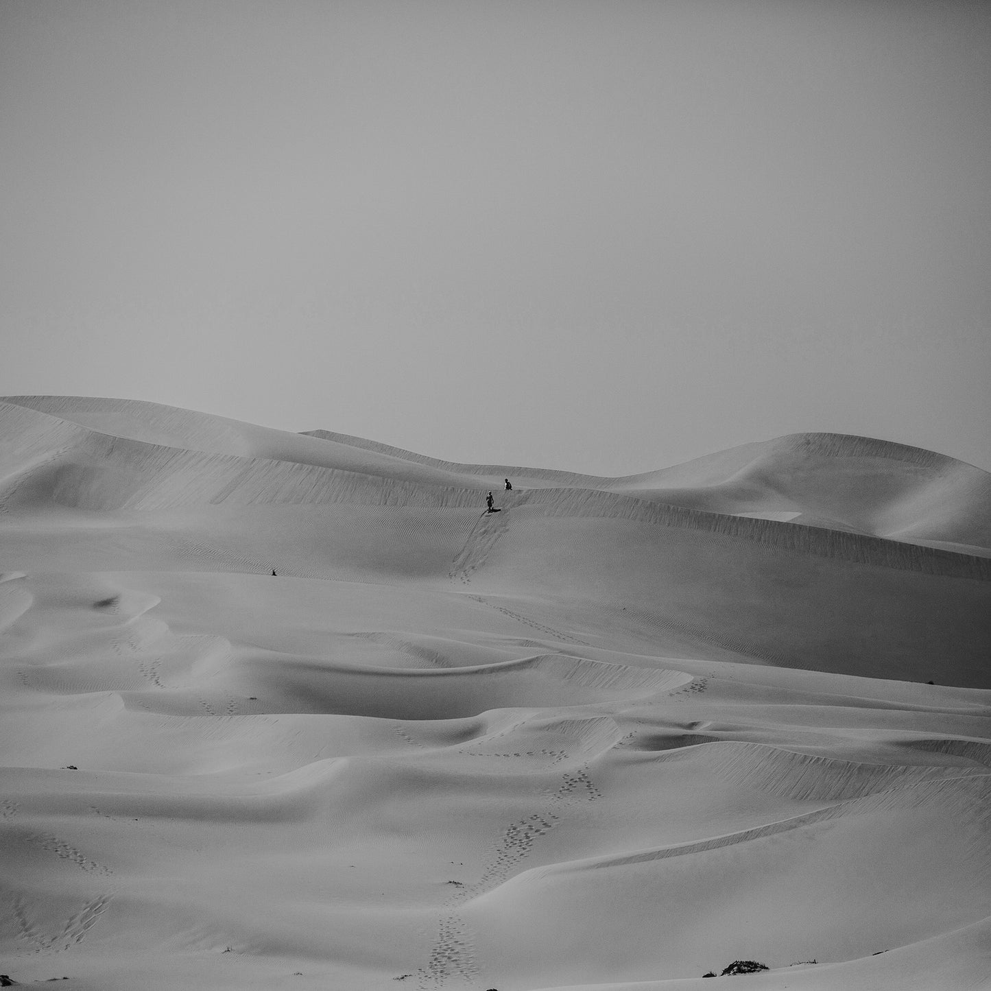 No Clouds in the Desert